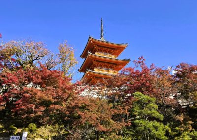 Groepsreis 12 dagen Japan 30 mei – 10 juni 2025